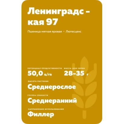 Пакет семян пшеницы Ленинградская 97