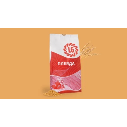 Пакет семян пшеницы ПЛЕЯДА на оранжевом фоне - ЛГ Анери