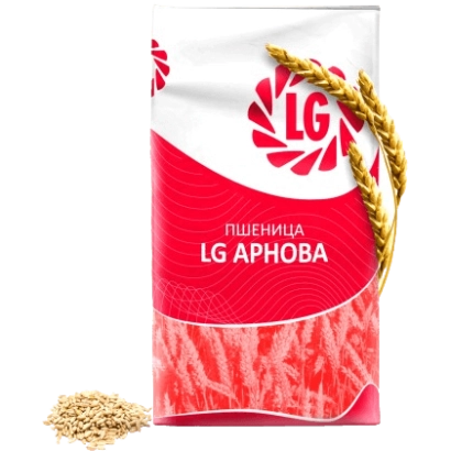 Bag of wheat LG Arnova with stalk and grains illustration
