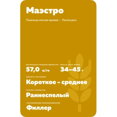 Пакет семян пшеницы Маэстро с описанием сорта и характеристик