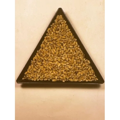 Трикутна форма з зерном пшениці - МІП Соломія