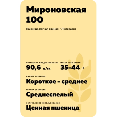 Мешок семян пшеницы Мироновская 100