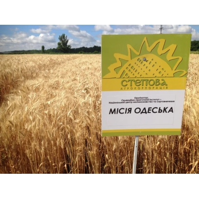 Знак з написом «МІСІЯ ОДЕСЬКА» на фоні поля пшениці