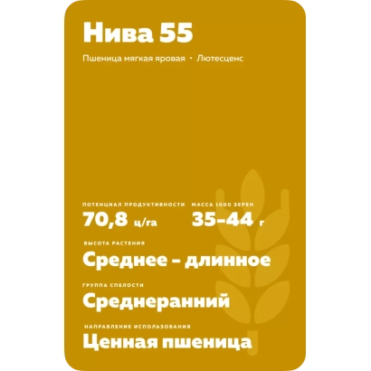 Пакет насіння пшениці Ніва 55