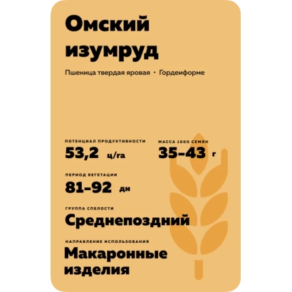 Пакет насіння пшениці Омський ізумруд