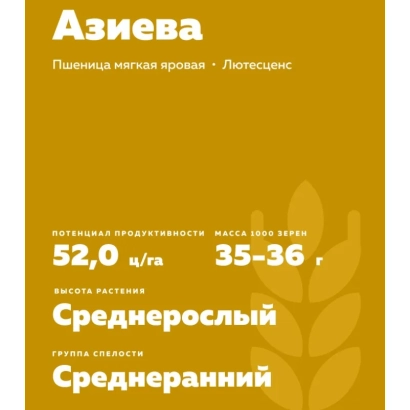 Мягкая яровая пшеница Азиева с урожайностью 52,0 ц/га - ПАМЯТИ АЗИЕВА