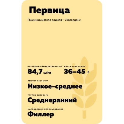 Wheat seed bag of variety Pervica