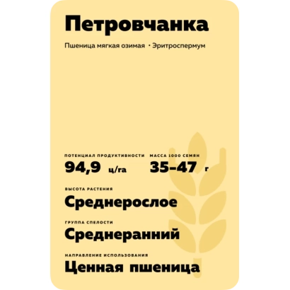 Семечная пшеница Петровчанка на желтом фоне с текстовыми характеристиками