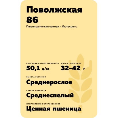 Seed bag of wheat variety Povolzhskaia 86 - POVOLZHSKAYA 86