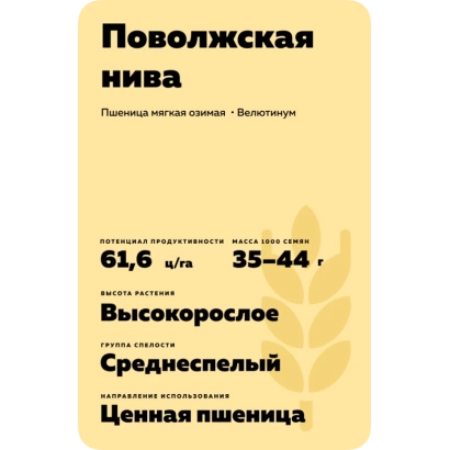 Wheat seed bag labeled Povolzhska Niva - POVOLZHSKAYA NIVA