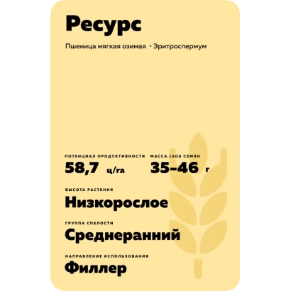 Пакет семян пшеницы сорта Ресурс