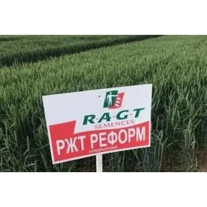 Знак с надписью РЖТ РЕФОРМ на фоне зелёного поля пшеницы