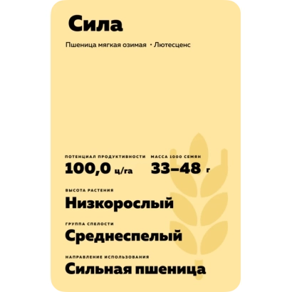 Пакет семян пшеницы СИЛА