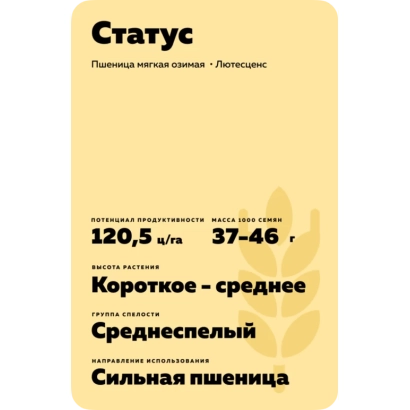 Пакет семян пшеницы сорта Статус