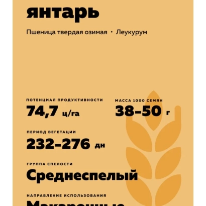 Пакет семян пшеницы твердой озимой «янтарь» - СТЕПНОЙ ЯНТАРЬ