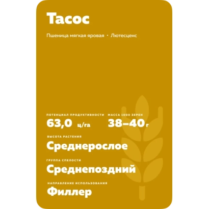 Пакет насіння пшениці Тасос - Тазос