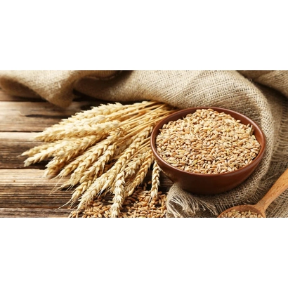 Солома пшениці та зерно в дерев'яній мисці на дерев'яному фоні - Улюблена