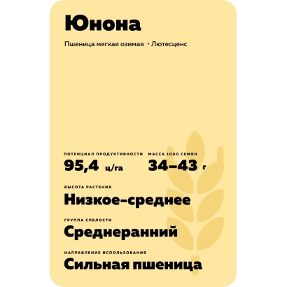 Мішок насіння пшениці Юнона з вказівкою сорту та характеристик