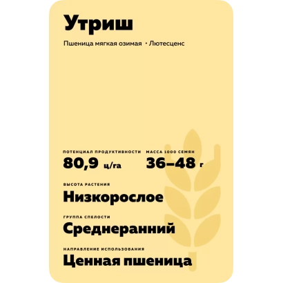 Пакет семян пшеницы сорта Утриш