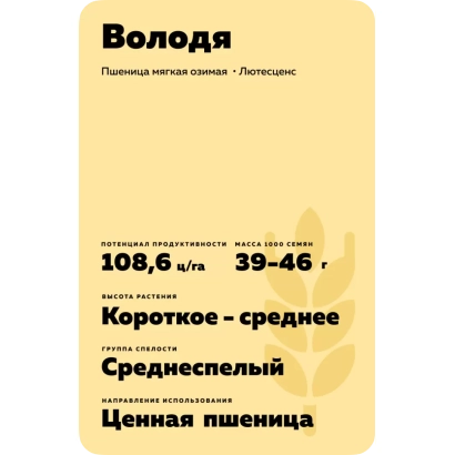 Сортове пшениця Володя, з вмістом білка 10,8% і класом 39-46