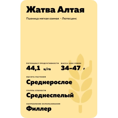 Мешок с семенами пшеницы сорта Жатва Алтая