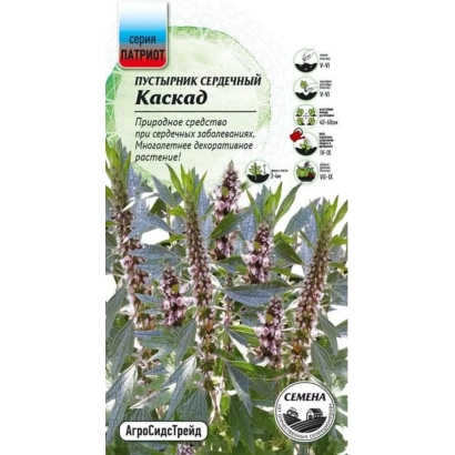 Пустырник семенной Каскад