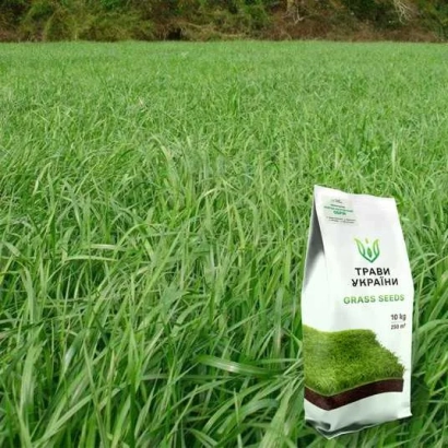 Мешок с семенами 4 IR 1 на фоне поля райграса - 4 ИР 1