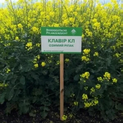 Знак с надписью КЛАВІР КЛ на фоне рапса - КЛАВИР КЛ