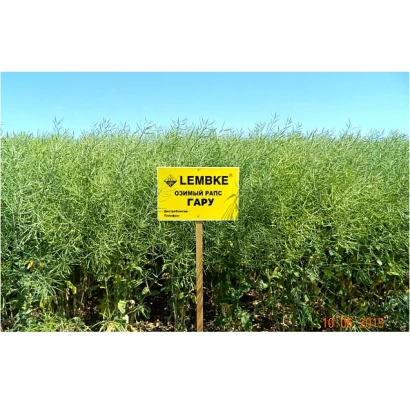 Желтый знак LEMBKE на фоне поля рапса - ГАРУ