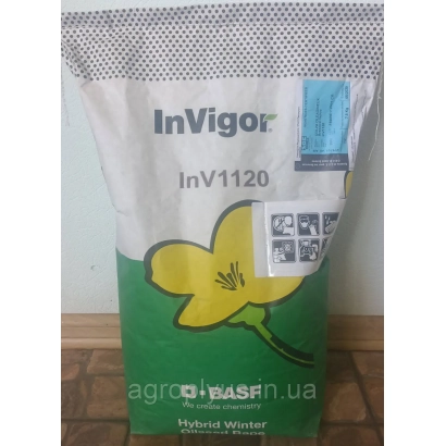 Мешок семян рапса InVigor InV1120 - ИНВ1120