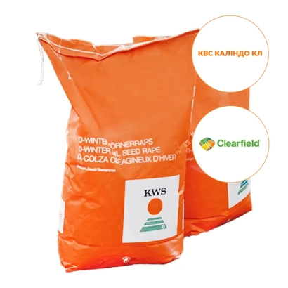 Мешок семян рапса KWS CALINDO CL - КВС КАЛИНДО КЛ