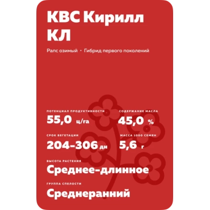 Пакет семян рапса КВС Кирил КЛ