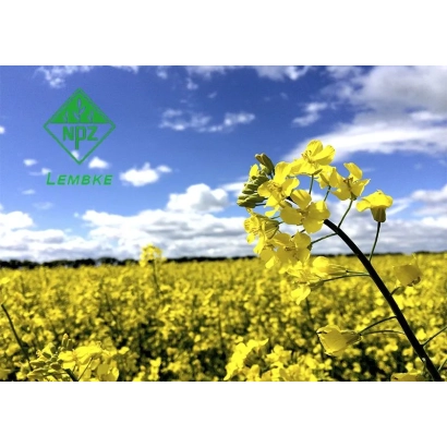 Поле рапса с логотипом НПЦ 9800 на фоне