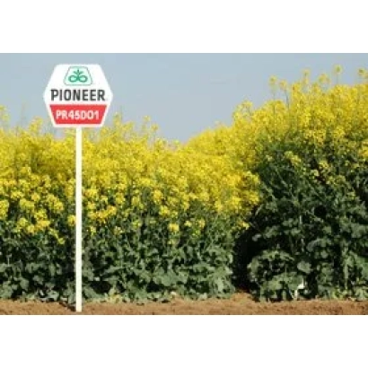 Знак Pioneer с названием продукта PR45D01 на фоне рапса - ПР45Д01