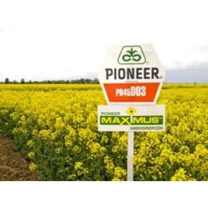 Мешок семян рапса Pioneer PR45D03 - ПР45Д03