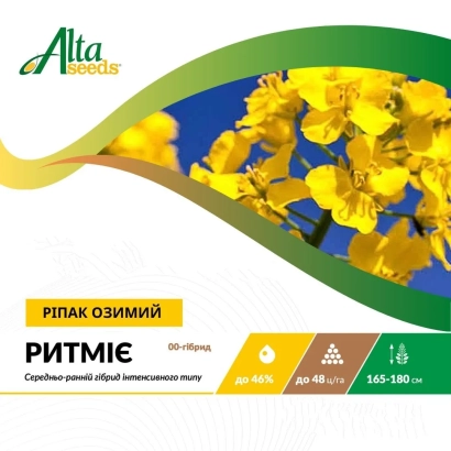 Пакет семян рапса озимого РИТМИЕ от Alta Seeds