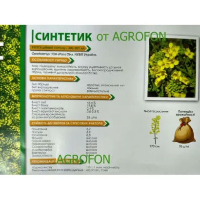 Синтетик от Agrofon — пакет семян рапса с описанием характеристик и фото растения.