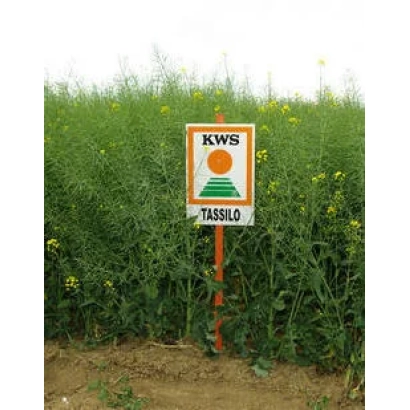 Знак с надписью TASSILO на фоне рапса - ТАССИЛО F1