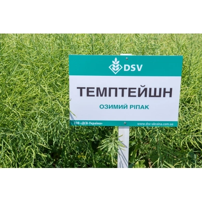 Зеленая культура с табличкой TEMPTATION на русском языке - Темптейшн