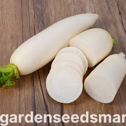 Свіжий редис на дерев'яному фоні з написом garden seeds market - Агата