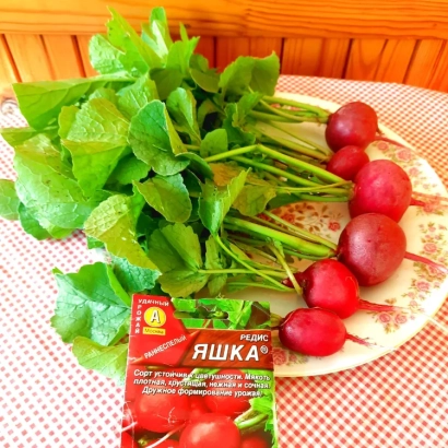 Насіння редиски ЯШКА на упаковці поруч із готовим продуктом