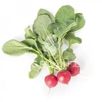 Свежий редис с зелеными листьями на белом фоне - Белсей