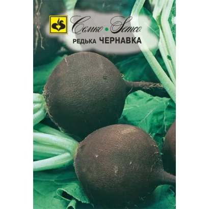 Chernavka radish seeds on green background