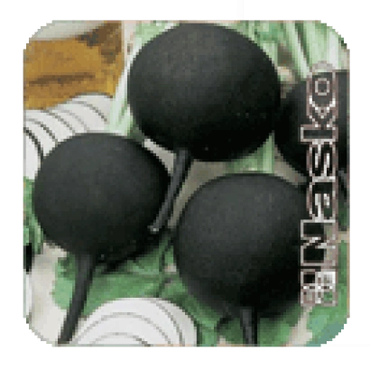 Черные редиски Duenya на зеленой упаковке - ДУЭНЬЯ