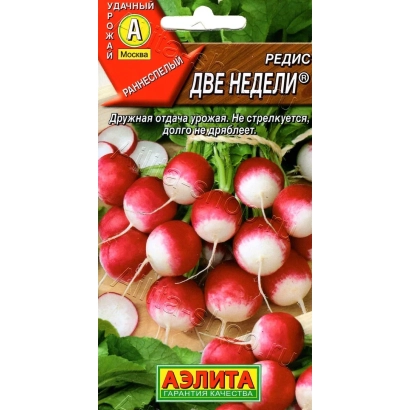 Seed packet of radish 'TWO WEEKS' with image of fresh root vegetables.