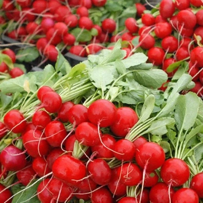 Свежий редис с зелеными листьями на фоне других овощей - Ескала