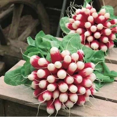 Свежие редисы на деревянной поверхности - Експо