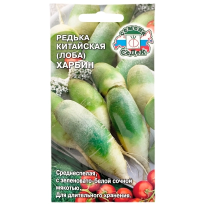 Seed packet of radish HARBIN with image of root vegetables