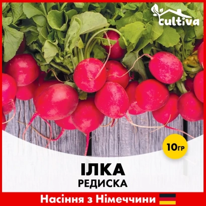 Красная редиска Илка на деревянном фоне