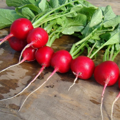 Свежие красные редиски с зелёными листьями на деревянной поверхности - Джоли